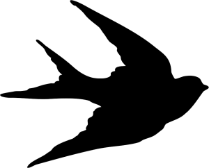 Swallow PNG-67303